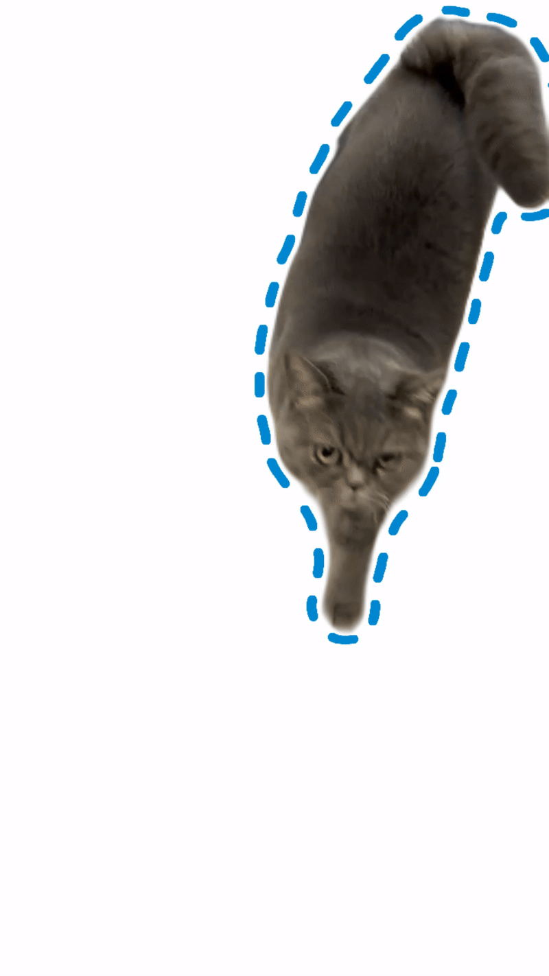 Walking Cat